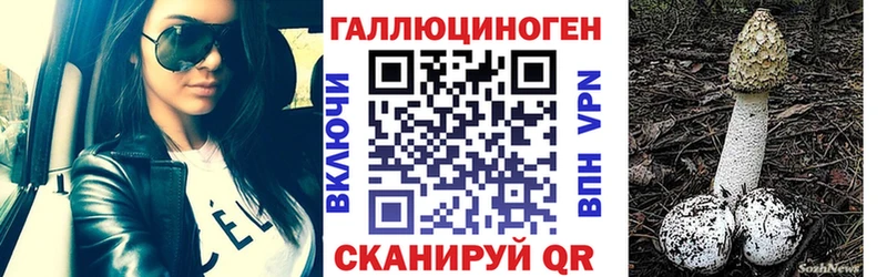 Псилоцибиновые грибы Psilocybe  Куртамыш 